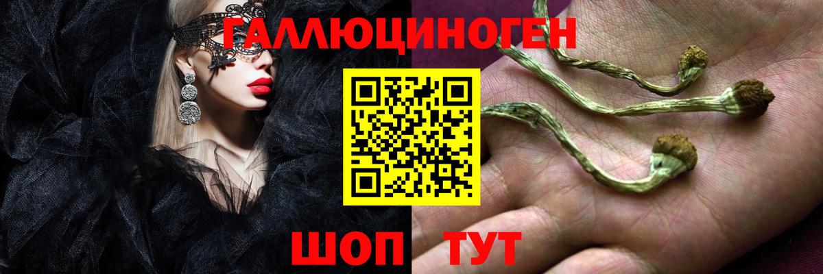 Псилоцибиновые грибы Magic Shrooms  Вход с VPN  Новокубанск 