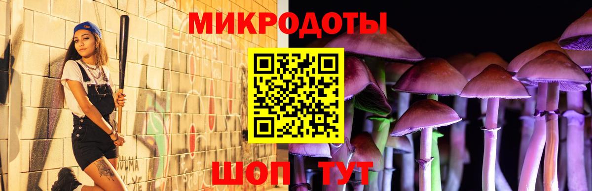 Галлюциногенные грибы прущие грибы Новокубанск